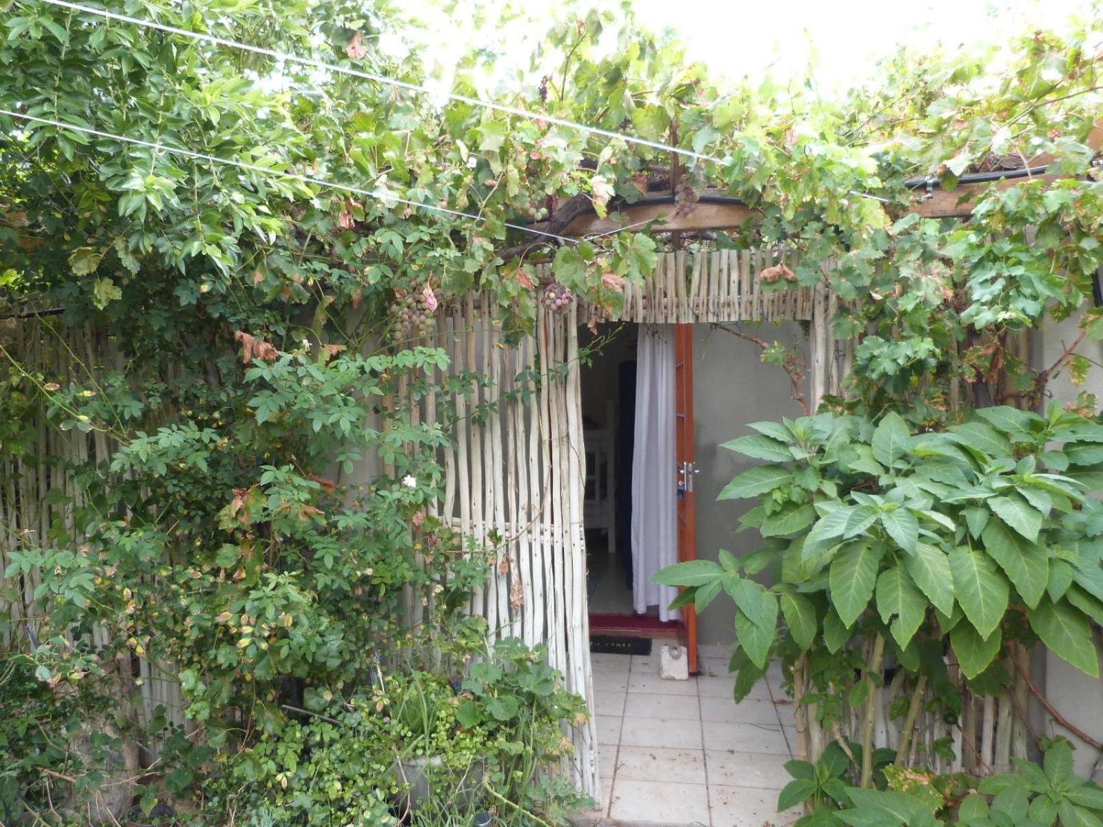 Hannah'S Haven Studio Deluxe - No Loadshedding Διαμέρισμα Beaufort West Εξωτερικό φωτογραφία